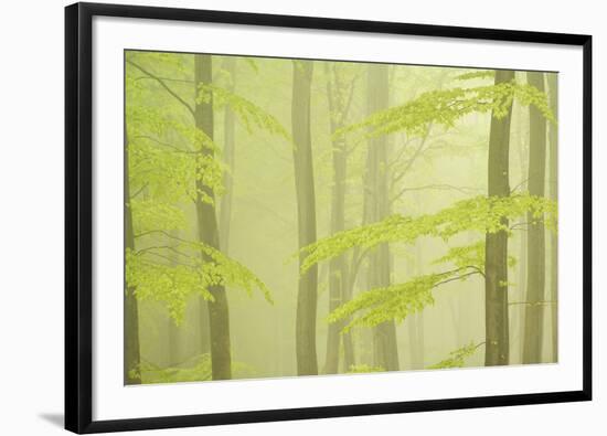 Brushing Past-Staffan Widstrand-Framed Giclee Print