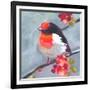 Brushstroke Bird I-Jennifer Parker-Framed Art Print