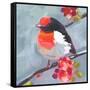 Brushstroke Bird I-Jennifer Parker-Framed Stretched Canvas