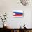 Brushstroke Flag Philippines-robodread-Art Print displayed on a wall