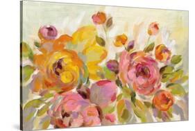 Brushy Peonies-Silvia Vassileva-Stretched Canvas