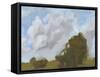 Brushy Summer Sky II-Ethan Harper-Framed Stretched Canvas