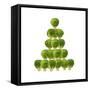 Brussel Sprout in Christmas Tree Shape-null-Framed Stretched Canvas