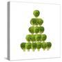 Brussel Sprout in Christmas Tree Shape-null-Stretched Canvas