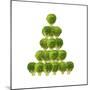 Brussel Sprout in Christmas Tree Shape-null-Mounted Photographic Print