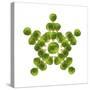 Brussel Sprout in Star or Snowflake Shape-null-Stretched Canvas