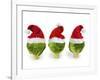 Brussel Sprouts in Christmas Hats-null-Framed Photographic Print