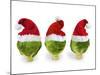 Brussel Sprouts in Christmas Hats-null-Mounted Photographic Print