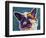 Brussels Griffon - Spicey-Dawgart-Framed Giclee Print