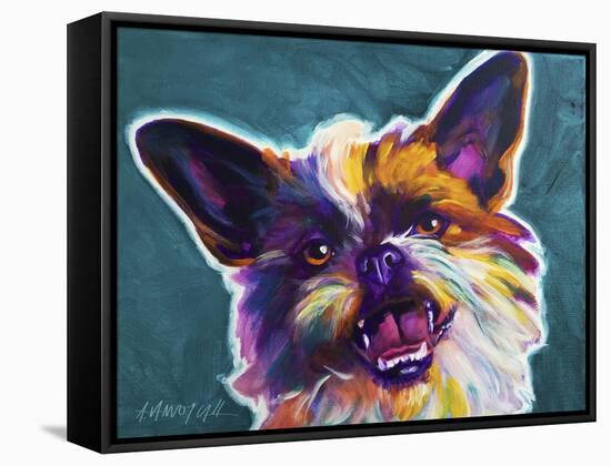 Brussels Griffon - Spicey-Dawgart-Framed Stretched Canvas