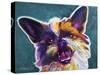 Brussels Griffon - Spicey-Dawgart-Stretched Canvas