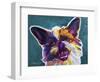 Brussels Griffon - Spicey-Dawgart-Framed Premium Giclee Print