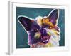 Brussels Griffon - Spicey-Dawgart-Framed Giclee Print