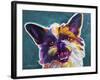 Brussels Griffon - Spicey-Dawgart-Framed Giclee Print