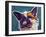 Brussels Griffon - Spicey-Dawgart-Framed Giclee Print