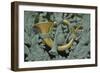 Brussels II-George Johnson-Framed Photographic Print