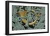 Brussels II-George Johnson-Framed Photographic Print