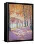 Brussels Park-Franz Gailliard-Framed Stretched Canvas