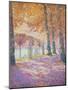 Brussels Park-Franz Gailliard-Mounted Giclee Print