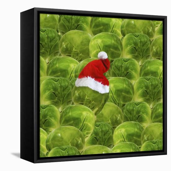 Brussels Sprout One with Christmas Hat-null-Framed Stretched Canvas