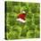 Brussels Sprout One with Christmas Hat-null-Stretched Canvas