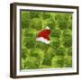 Brussels Sprout One with Christmas Hat-null-Framed Photographic Print