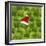 Brussels Sprout One with Christmas Hat-null-Framed Photographic Print