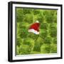 Brussels Sprout One with Christmas Hat-null-Framed Photographic Print