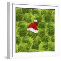 Brussels Sprout One with Christmas Hat-null-Framed Photographic Print