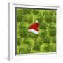 Brussels Sprout One with Christmas Hat-null-Framed Photographic Print