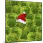 Brussels Sprout One with Christmas Hat-null-Mounted Photographic Print