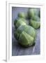 Brussels Sprouts (Brassica Oleracea)-Maxine Adcock-Framed Photographic Print