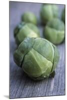 Brussels Sprouts (Brassica Oleracea)-Maxine Adcock-Mounted Photographic Print