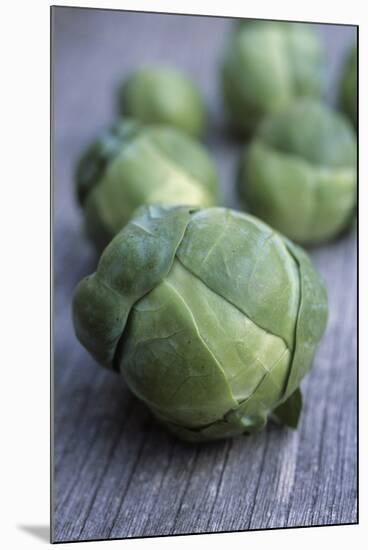 Brussels Sprouts (Brassica Oleracea)-Maxine Adcock-Mounted Photographic Print