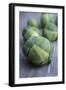 Brussels Sprouts (Brassica Oleracea)-Maxine Adcock-Framed Photographic Print