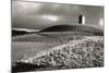 Bruton Dovecote, Somerset 1983 From Wessex NT Series-Fay Godwin-Mounted Giclee Print