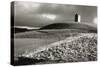 Bruton Dovecote, Somerset 1983 From Wessex NT Series-Fay Godwin-Stretched Canvas