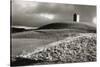 Bruton Dovecote, Somerset 1983 From Wessex NT Series-Fay Godwin-Stretched Canvas