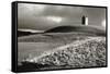 Bruton Dovecote, Somerset 1983 From Wessex NT Series-Fay Godwin-Framed Stretched Canvas