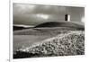 Bruton Dovecote, Somerset 1983 From Wessex NT Series-Fay Godwin-Framed Giclee Print