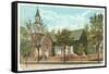 Bruton Parish Church, Williamsburg, Virginia-null-Framed Stretched Canvas