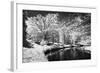 Bryan Lake II-Alan Hausenflock-Framed Photographic Print