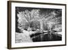 Bryan Lake II-Alan Hausenflock-Framed Photographic Print