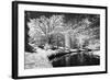 Bryan Lake II-Alan Hausenflock-Framed Photographic Print