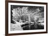 Bryan Lake II-Alan Hausenflock-Framed Photographic Print