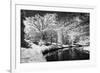 Bryan Lake II-Alan Hausenflock-Framed Photographic Print