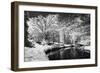 Bryan Lake II-Alan Hausenflock-Framed Photographic Print