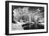 Bryan Lake II-Alan Hausenflock-Framed Photographic Print