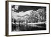 Bryan Lake IV-Alan Hausenflock-Framed Photographic Print