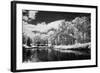 Bryan Lake IV-Alan Hausenflock-Framed Photographic Print